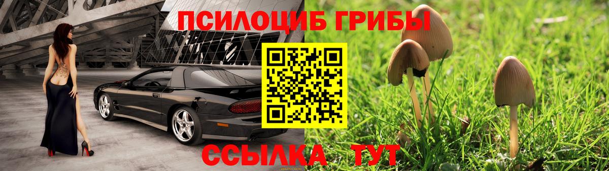 Псилоцибиновые грибы MAGIC MUSHROOMS  Псилоцибиновые грибы GOLDEN TEACHER  Вход с VPN  Саранск 