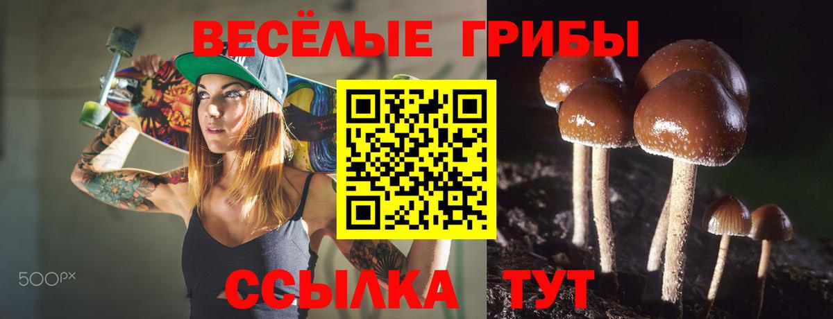 Галлюциногенные грибы GOLDEN TEACHER Саранск